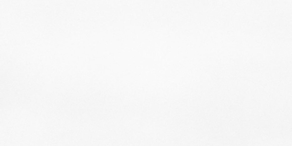 3110Polarisdetail x700