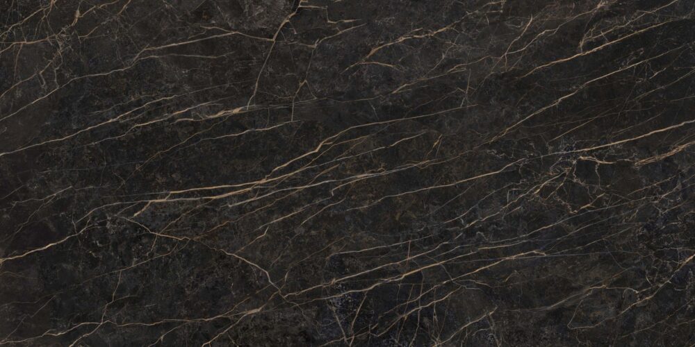 fusion black obsession scaled 1.jpg