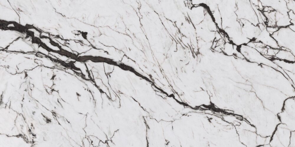 the new classtone san simone scaled 1.jpg