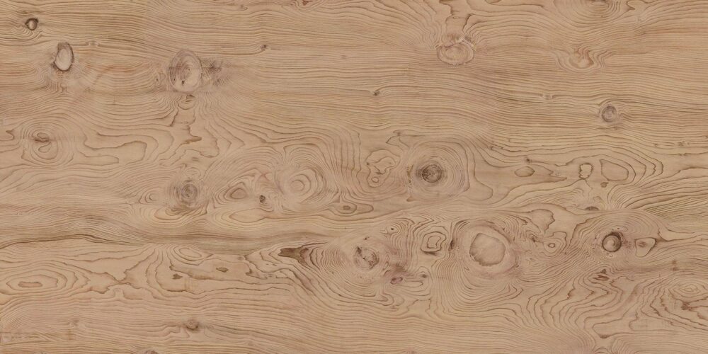 timber la boheme.jpg