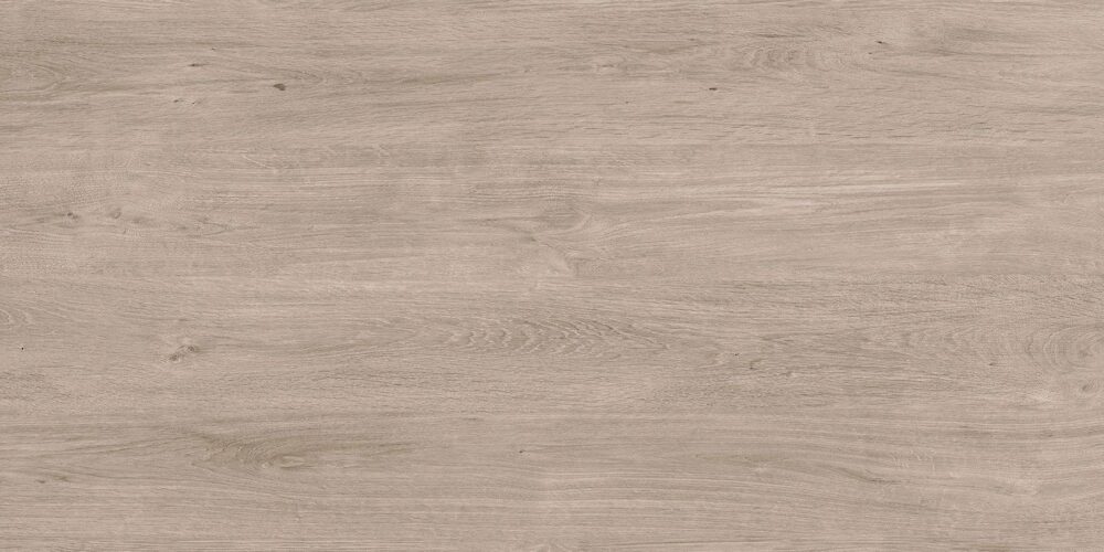 timber winter dala.jpg