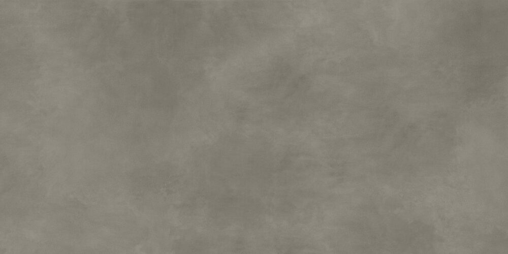 tortora textured 0.jpg